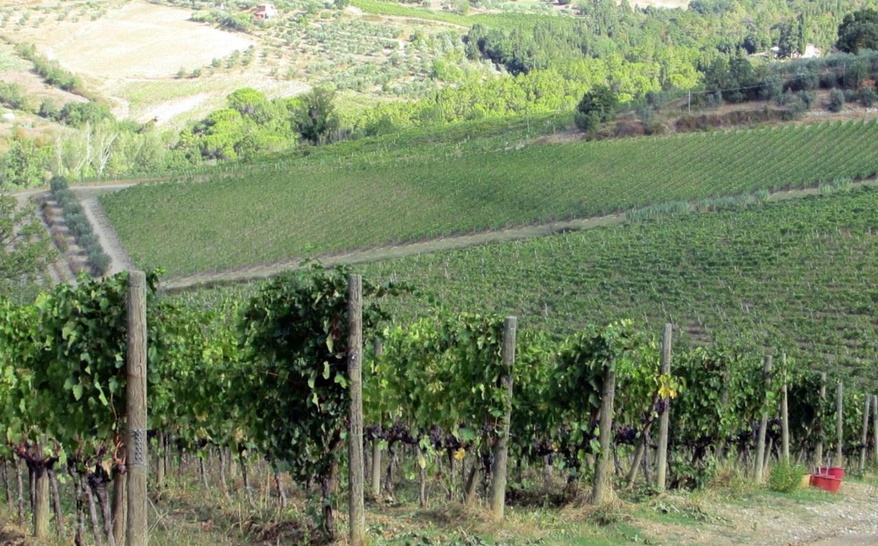 Agriturismo Fattoria Santo Stefano Greve in Chianti Exterior foto